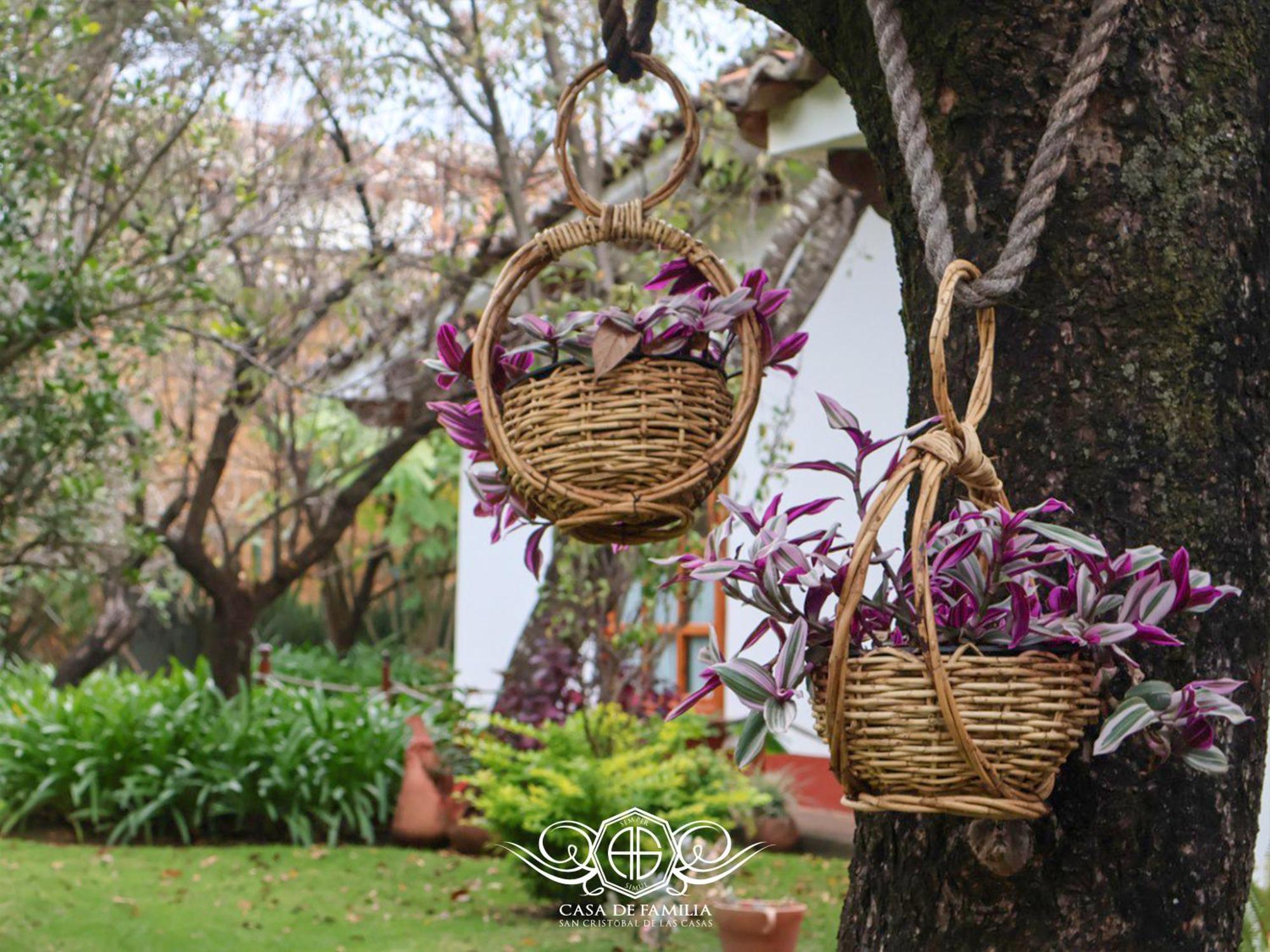 Hotel Casa De Familia De San Cristobal San Cristóbal de Las Casas エクステリア 写真